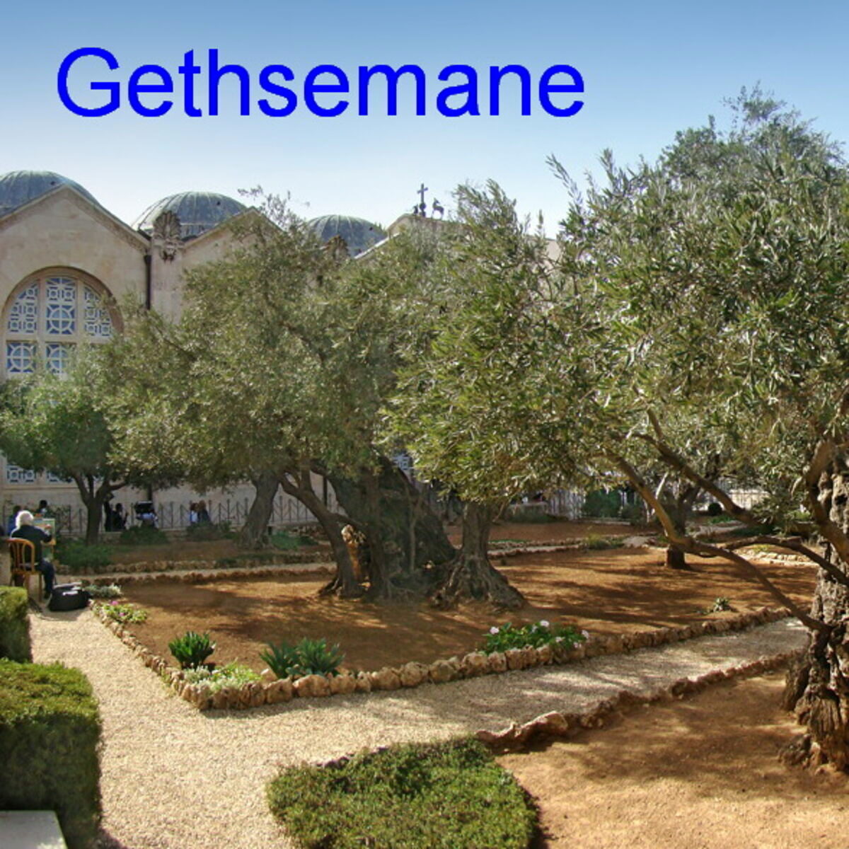 Garden of Gethsemane