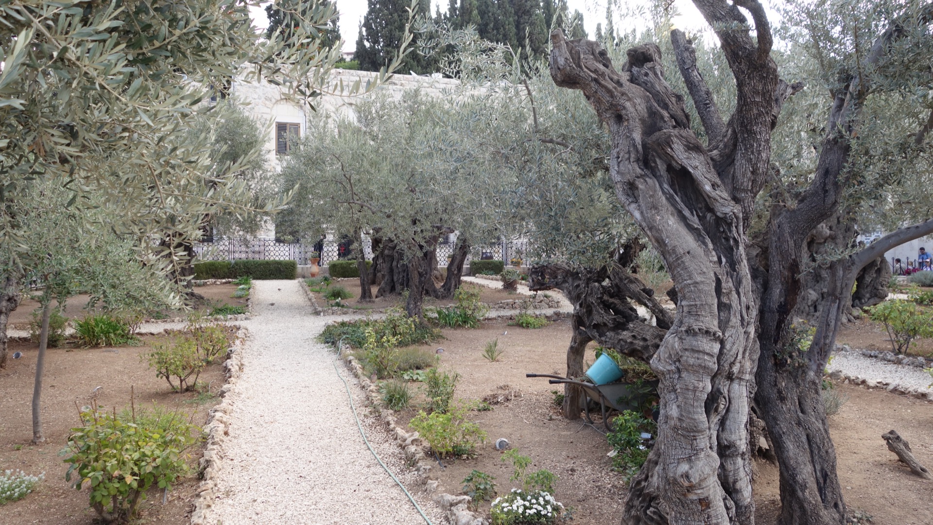 Etiquette at Holy Sites and Religious Places