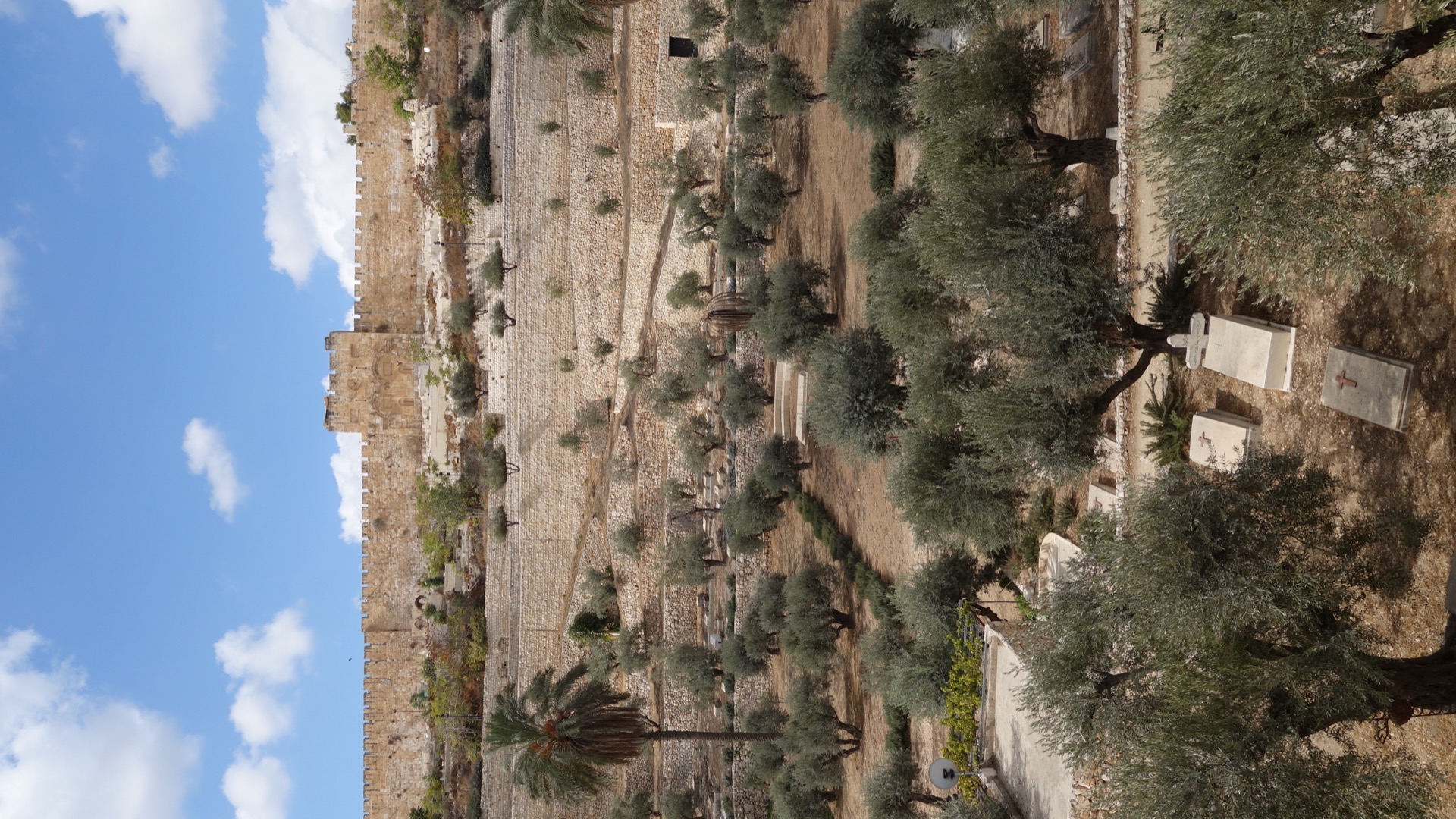 Guide to Israeli Food and Dining